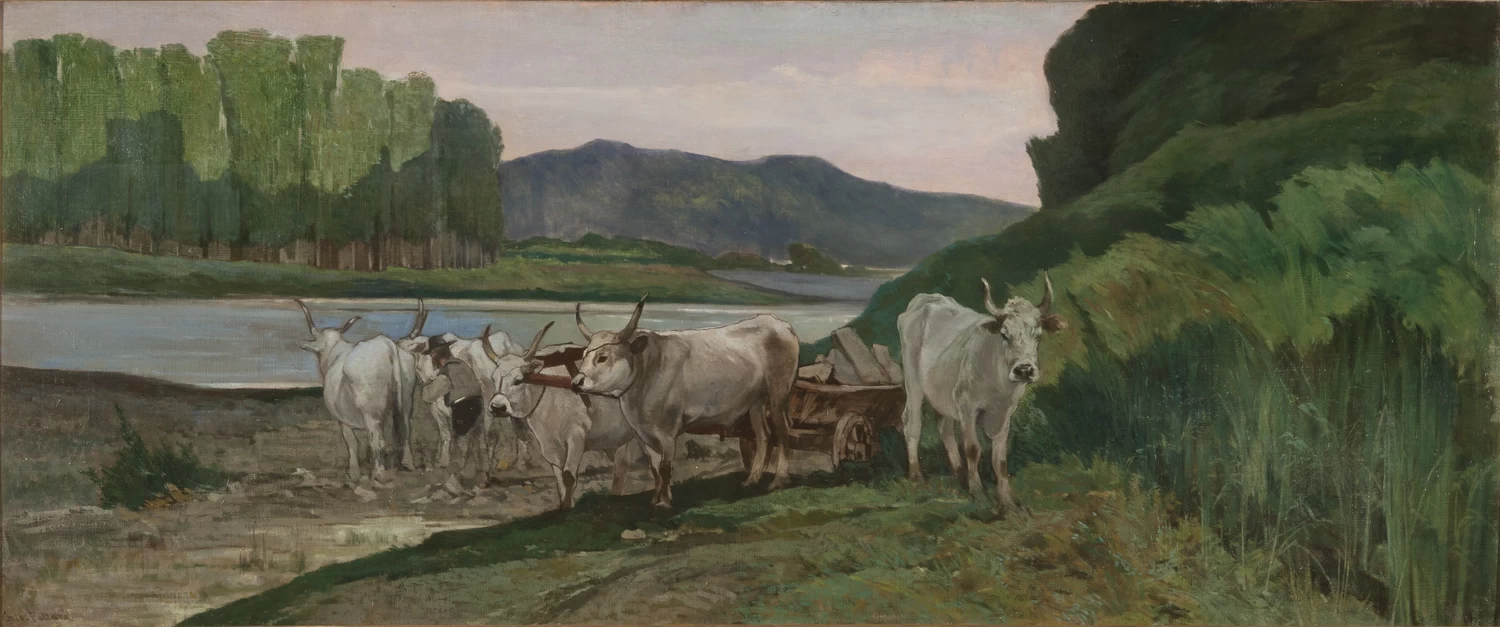 Buoi in riva all’Arno - Raccolte Frugone, Genova